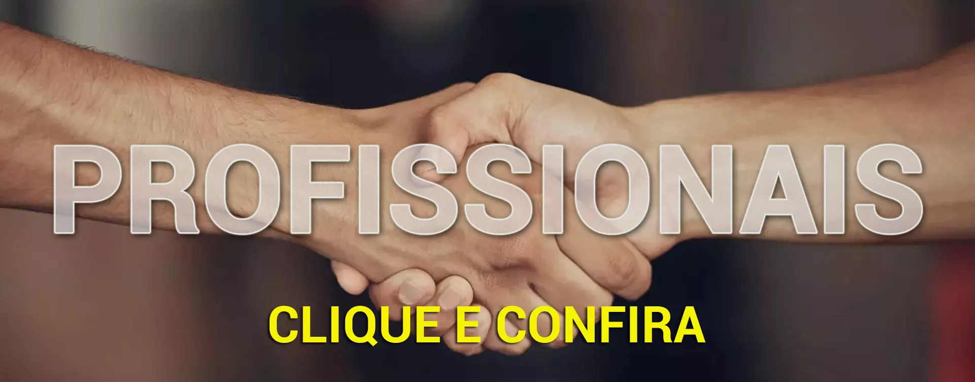  Destaques Profissionais