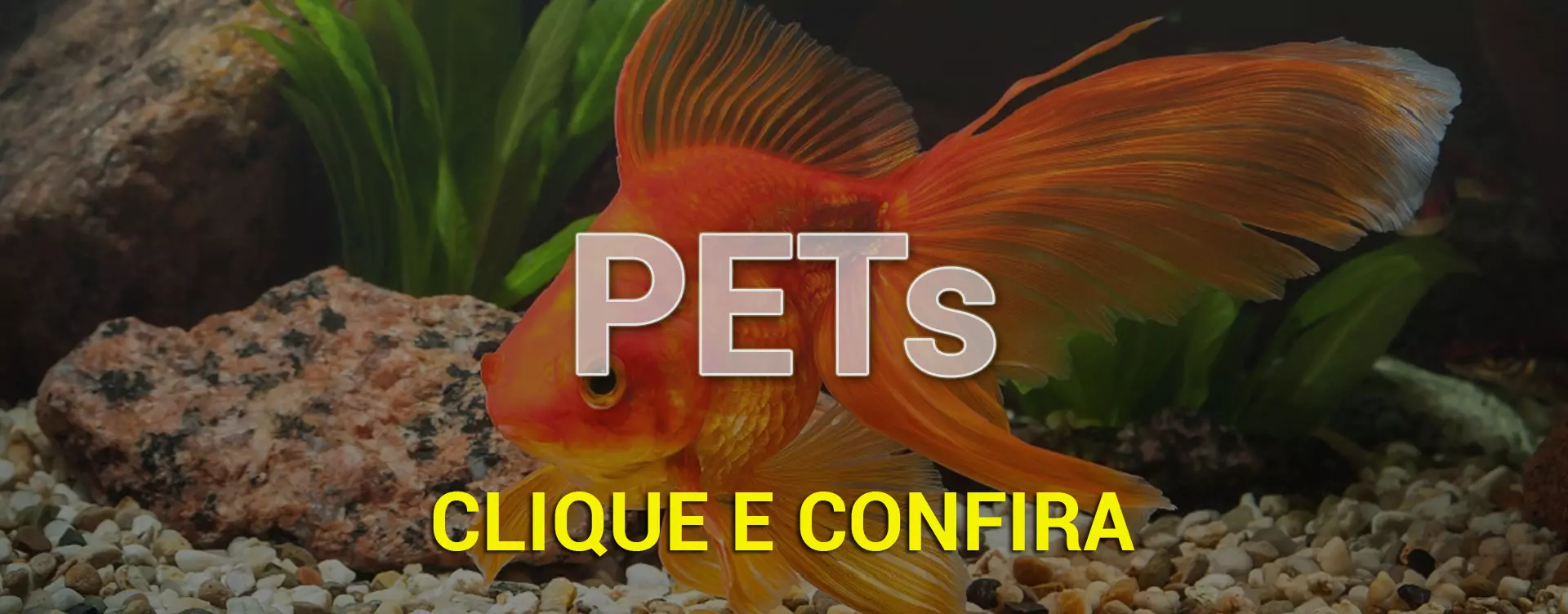  Destaques PETs