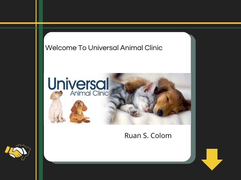 Universal Animal Clinic