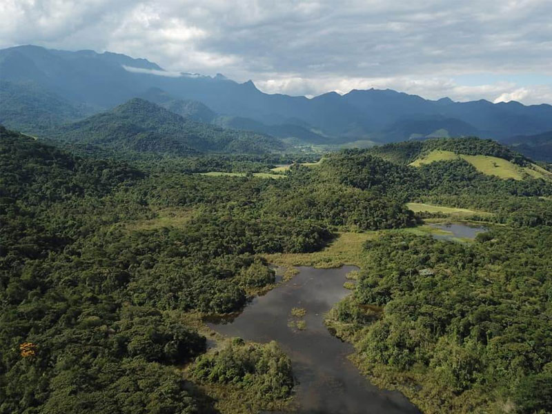 Meio Ambiente, Preservação, Espécie em Extinção, Cachoeiras de Macacu, Projeto Guapiaçu, Rio de Janeiro